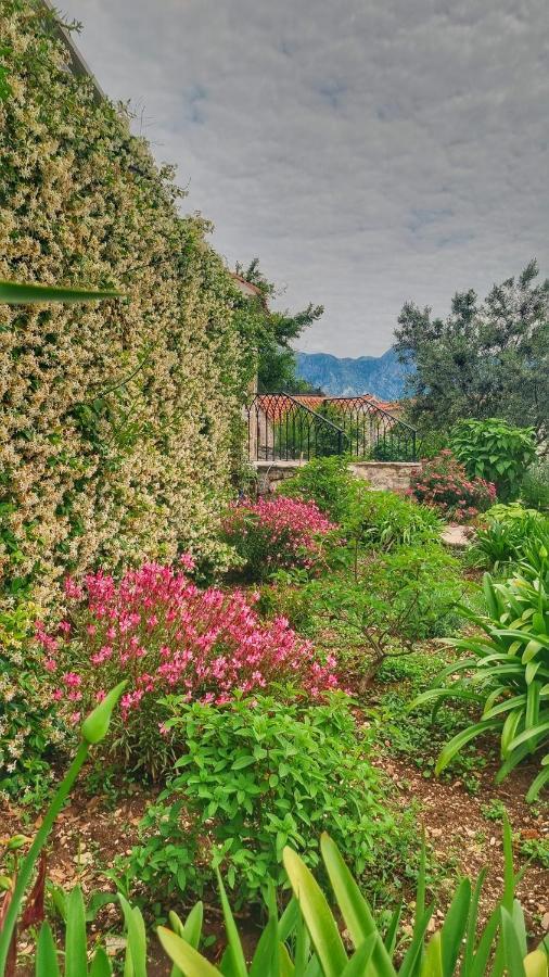 Casa Vita Nova Perast Kültér fotó